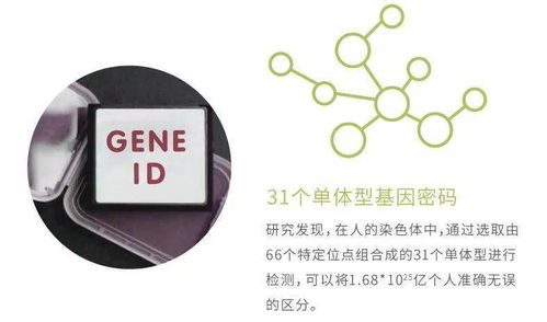 華大基因安馨可基因檢測(cè)系列產(chǎn)品全新上市，開(kāi)啟精準(zhǔn)健康管理新時(shí)代