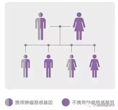 健康托付，關愛彼此 腫瘤基因檢測在療養院中的守護與溫度